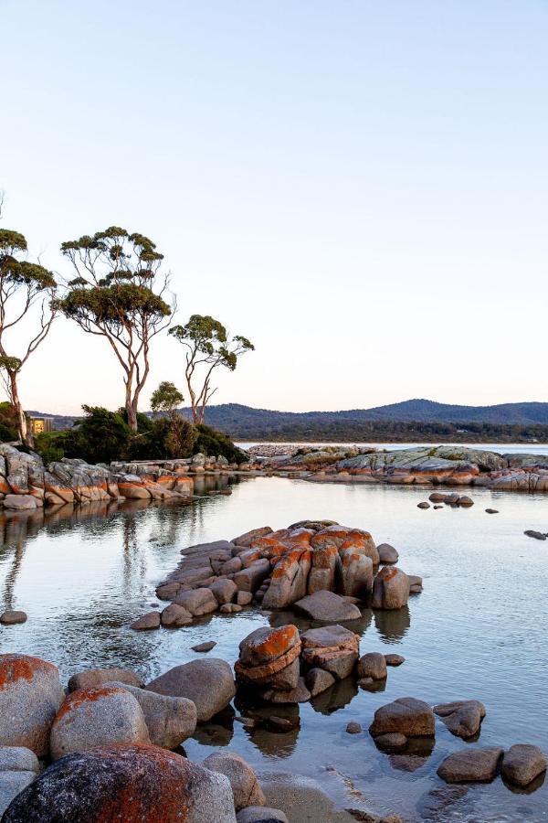 Driftwood Rest Binalong Bay Sleeps 4 Villa Exterior photo